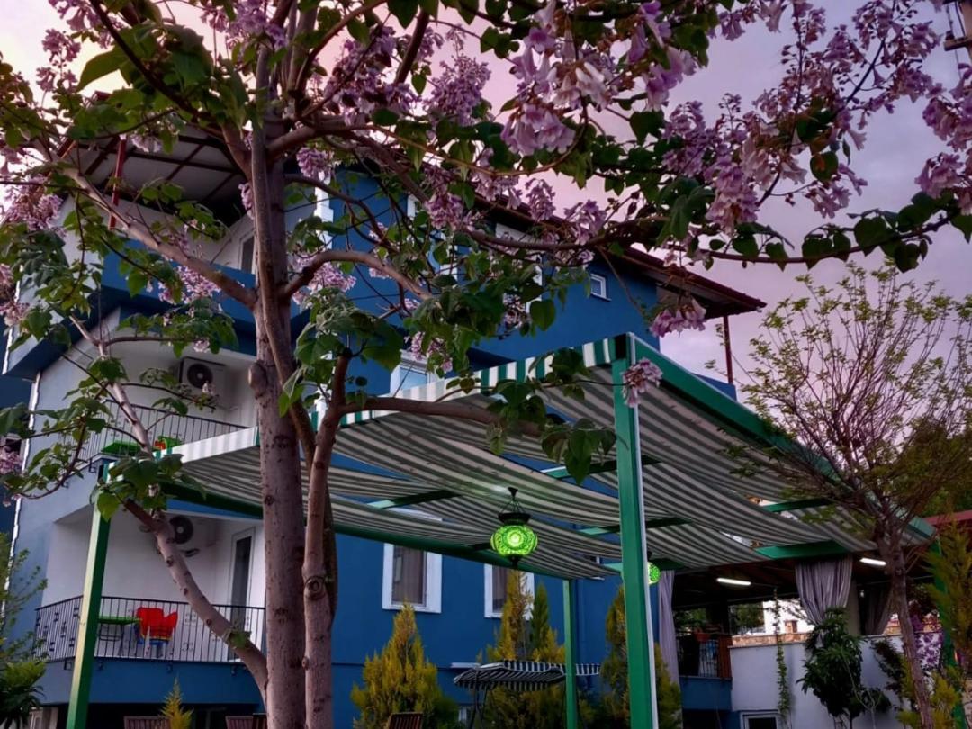 Paradise House 帕莫卡莱 外观 照片